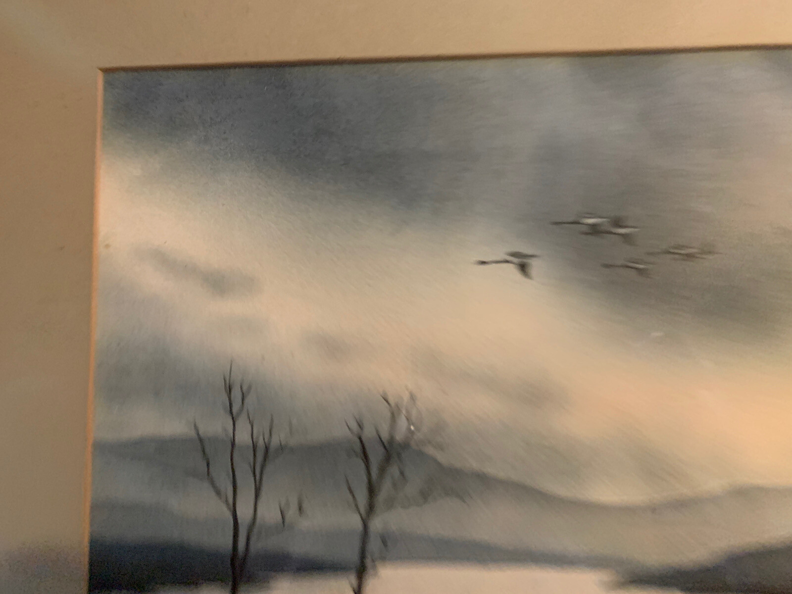 Picture 5 of 11