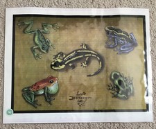 Tattoo Studio Shop Flash Single By Luis Berbert Frogs, Salimander 11"X14" Print