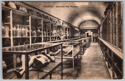 Antique Postcard Pompeii Archaeological Museum Artifacts Pompei, It 1920s
