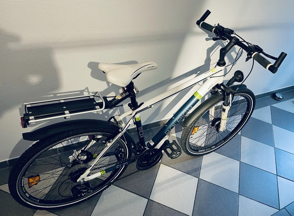 26er Raleigh Max Alu Fahrrad /21 Gang - Bild 3 von 4