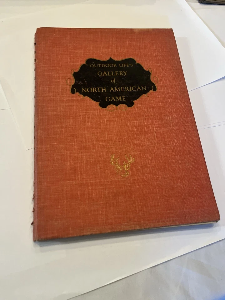 Colección de estampados de caza Foto 3 de 3