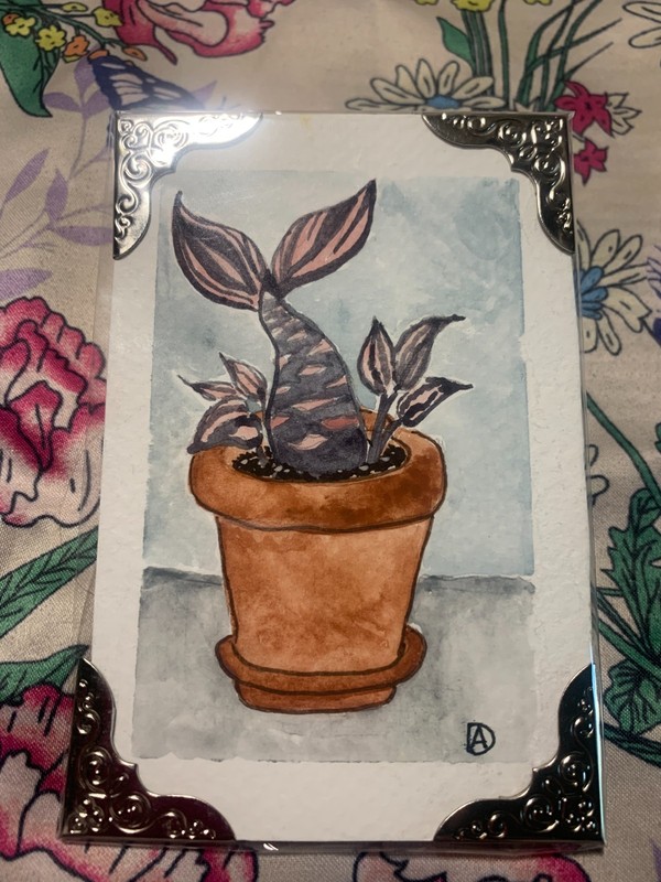 aceos original watercolor painting, purple mermaid plant, 4 X 2.5 inches