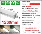Bild 124 von 199