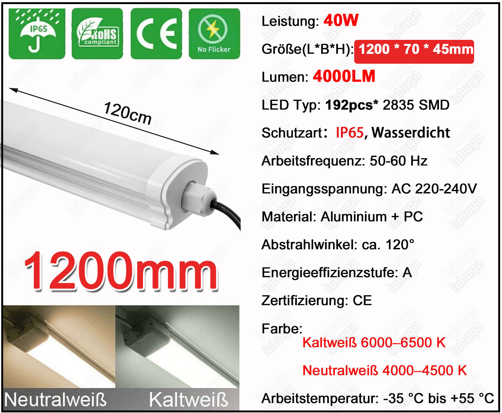 Bild 124 von 199