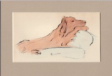 Lucy Dawson ~ Irish Setter ~ Red Setter Hand Coloured Print Genuine Vintage 1939
