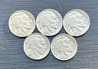 Lot Of 5 1936 P Buffalo Nickel Philadelphia Mint Full Date Horn And Tail Visible