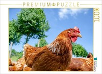 Calvendo Puzzle Happy Chicken | 1000 Pieces, Finished Size 25.2 × 18.9 In (64 ×
