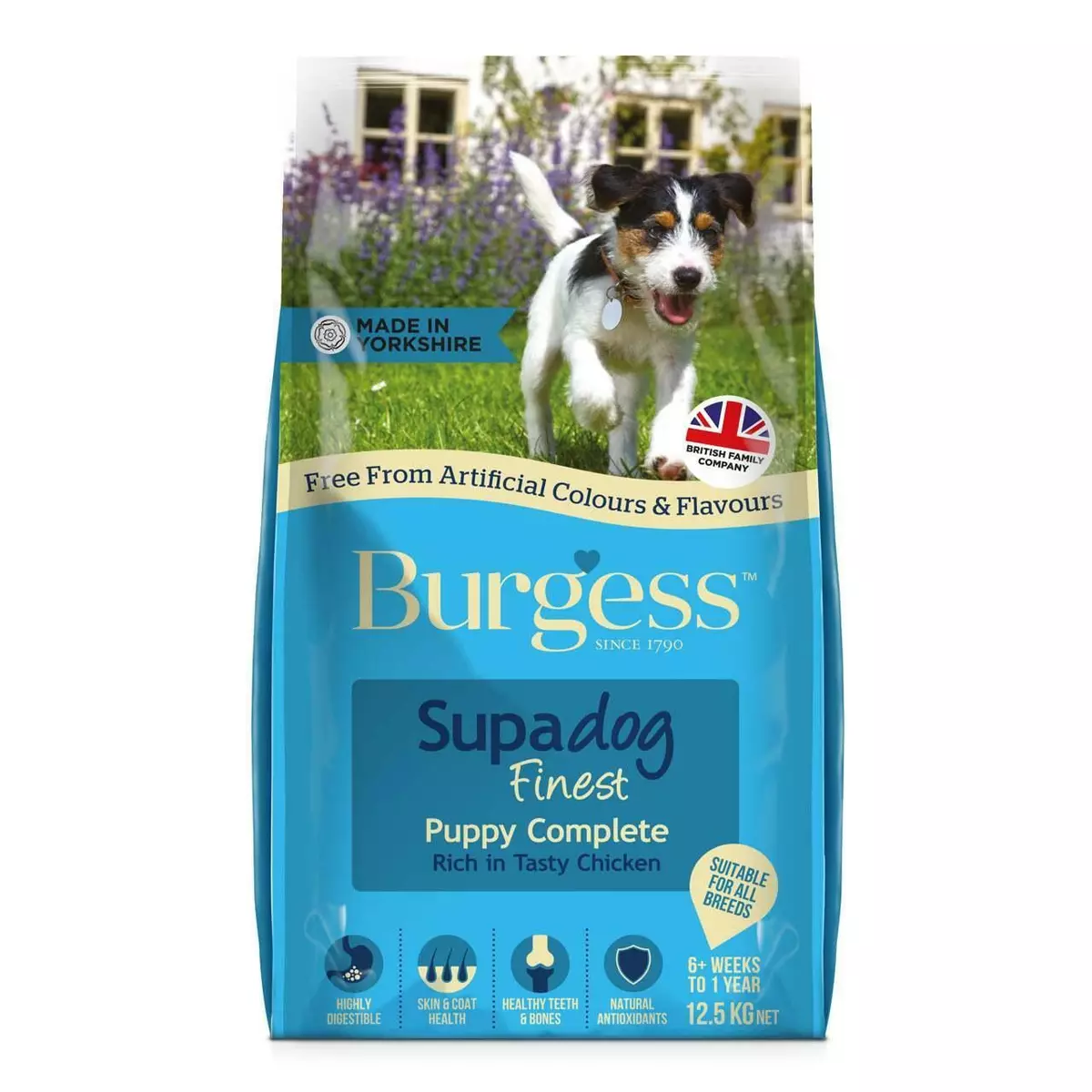 Burgess clearance puppy complete