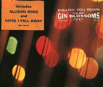 Gin Blossoms Follow you down [Maxi-CD]