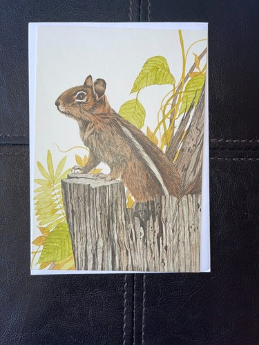 Vintage Current Greeting Cards Lot Of 8 w/Envelopes American Wildlife Possum Fox - Picture 6 of 11