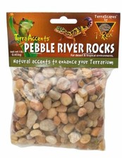 T-Rex Reptile Terrarium D cor -Terra Accents Pebble River Rocks