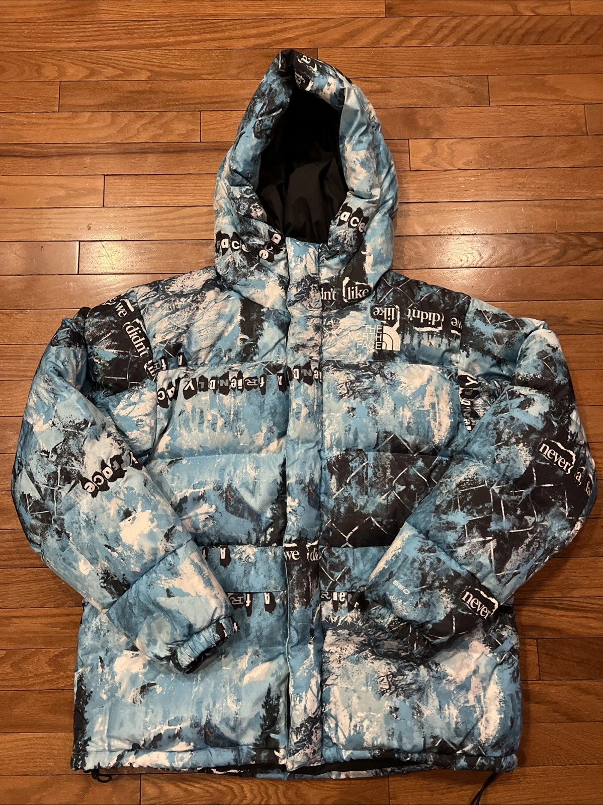 The North Face 550 Down Jacket Mens L Blue Puffer Hooded Print Coat
Opens in a new window or tab
