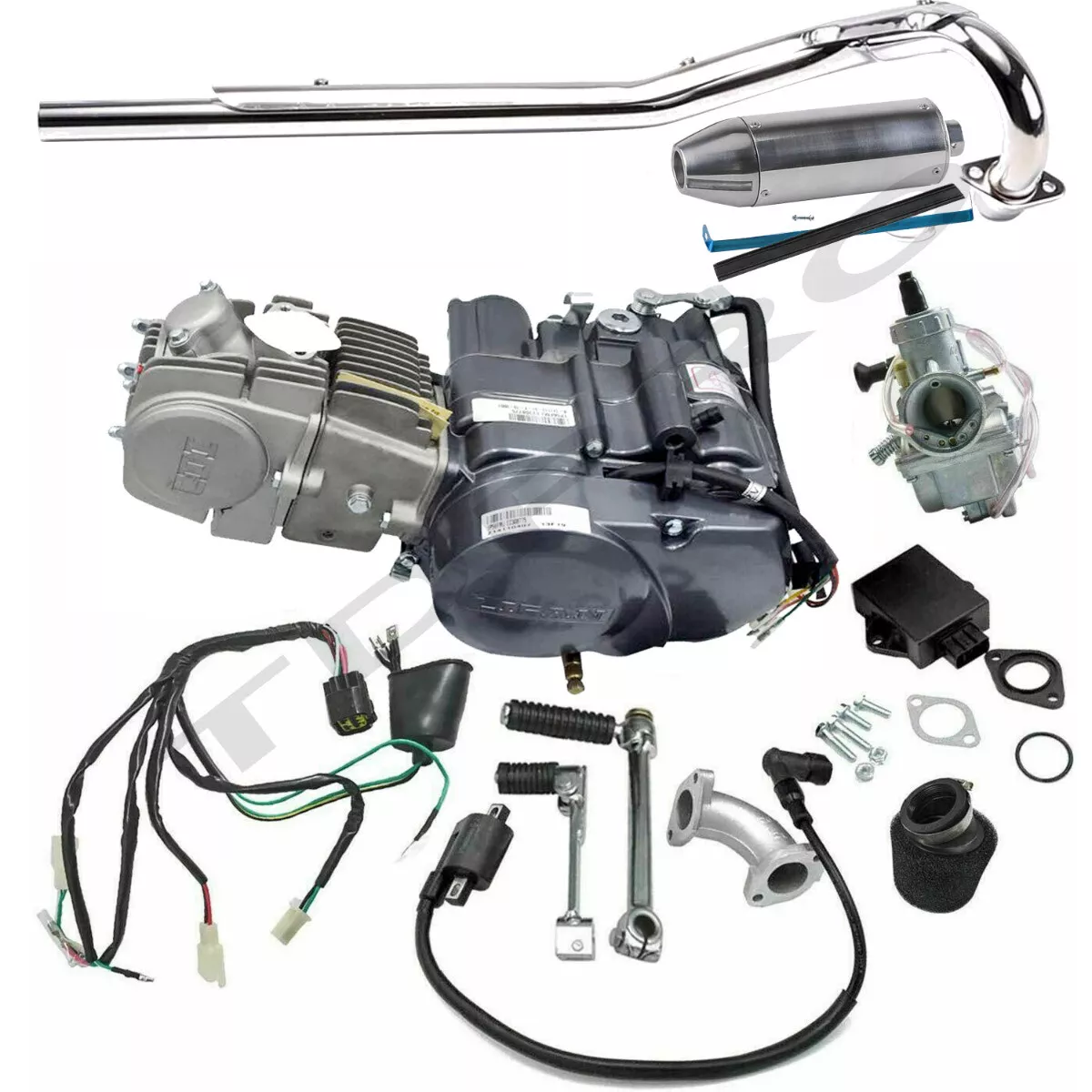 Racing Lifan 150cc Engine Motor Kit Manual 4 Speed For Pit Dirt Bike  Thumpstar