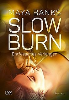 Slow Burn - Entfesseltes Verlangen (Slow-Burn-Reihe, Ban... | Buch | Zustand gut