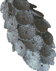 Foto 12 di 12
