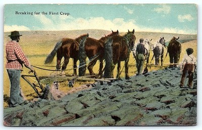Postcard Breaking for the First Crop farming harvesting