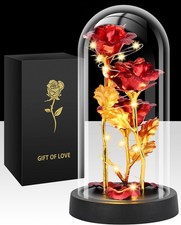 Tayfeim Valentines Day Rose Gifts for Her, Womens Gift Birthday Red