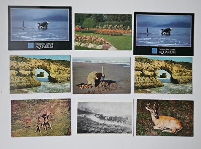VINTAGE POSTCARD Travel West Coast USA Lot of 9 Postcards #15B OR WA CA Sea Life