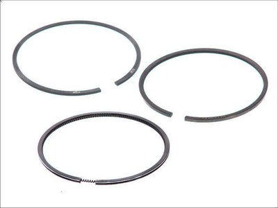 GOETZE 08-783800-00 elastic band kit for Fiat Tipo (160_) 1.9 1990-1992