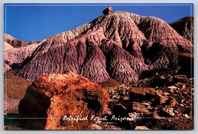 Postcard Petrified Forest Arizona Log Blue Mesa Tree National Park USA