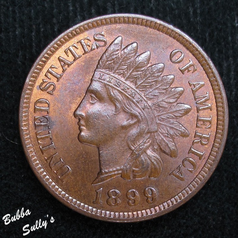 1899 Indian Head Cent UNCIRCULATED Brown