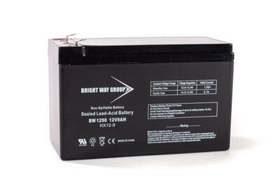BW 1290 F2 Bright Way Group replacement SLA Battery (12V 9AH)