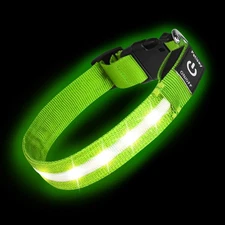 Super Bright LED Dog Collar - Fully Waterproof  Adjustable Glow Collar - USB-...