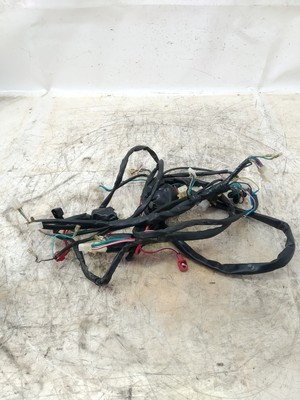 ELECTRICAL SYSTEM FOR GARELLI VIP 50 4T FROM 2011 (e49471)