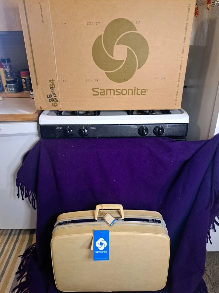 Maleta rígida Samsonite Fashionaire de colección, etiqueta y llave, 23x17x7", oro amarillo Foto 2 de 4