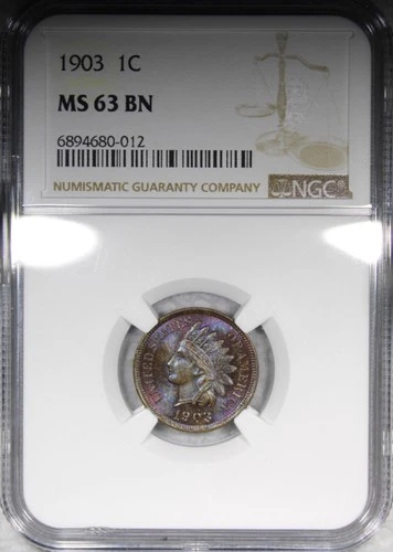 1903 Indian Head Cent NGC MS63BN BROWN Uncirculated TONED