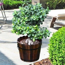 Vaso da fiori in legno, decorativo, versatile, regalo, portafiori, contenitore