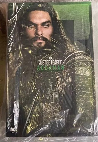 IN STOCK New Hot Toys MMS447 Justice League Aquaman Jason Momoa 1/6 Figure - Picture 2 of 2