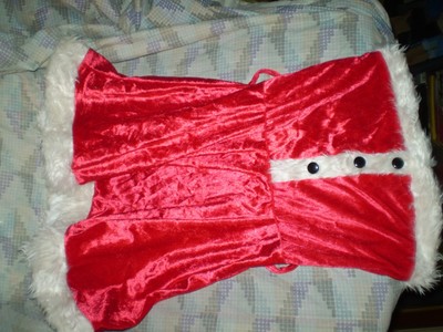 dreamgirl santa baby costume