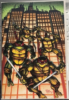 Teenage Mutant Ninja Turtles #20 Kevin Eastman - Blind Bag - Virgin
