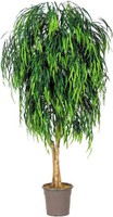 Artplants Deko Trauerweide Morino, EchtstäMme, GrüN, Crossdoor, 200Cm