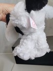 Bild 8 von 11