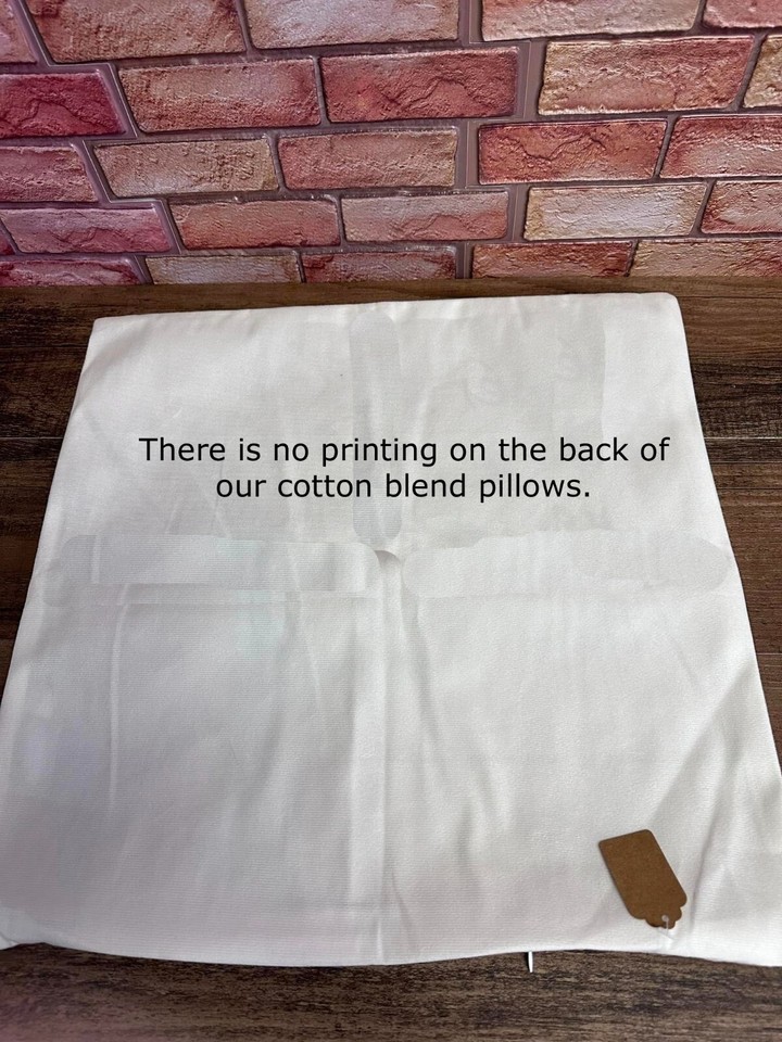 Black And White Cat With Pumpkins Halloween Pillow Cover 17in x 17in