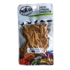 PROBUGS vacuum sealed MEALWORM feeder insects bearded dragons reptiles bird frog