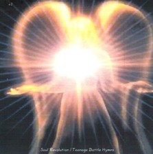+1 Soul Revolution / Teenage Battle Hymns [2011] 2X CDr Prog Rock Avantgarde