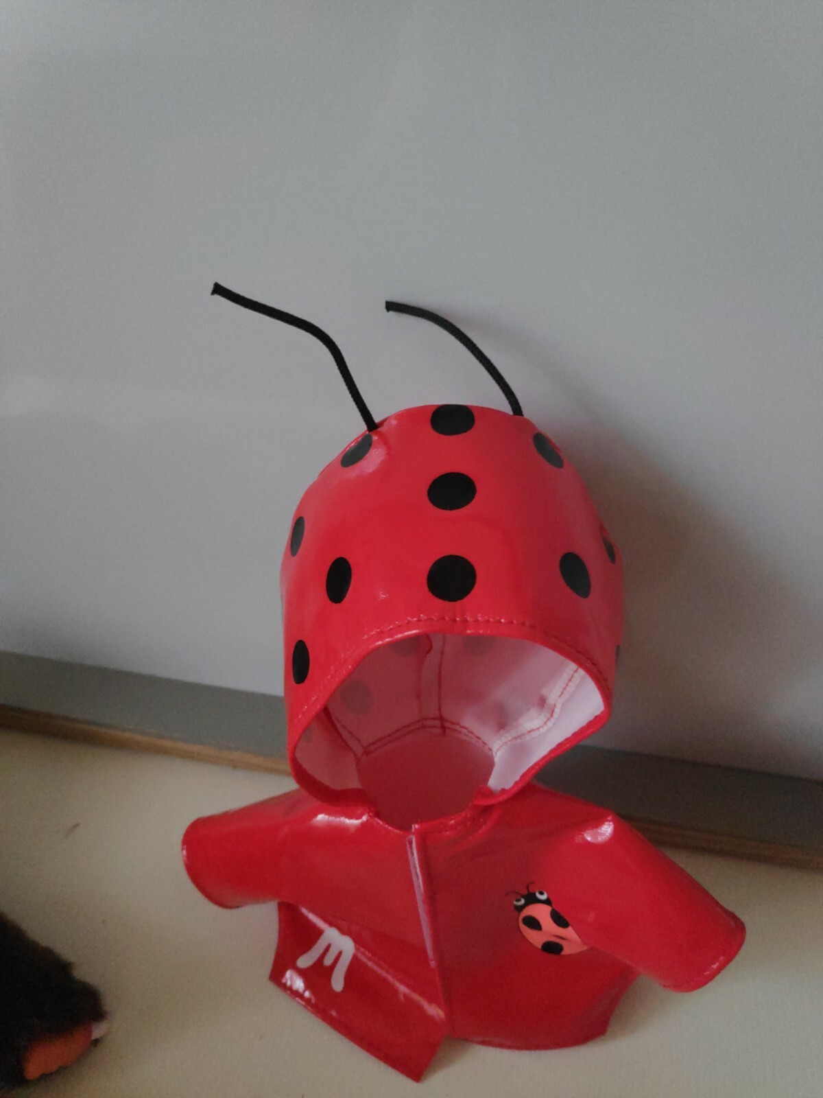 Picture 6 of 7