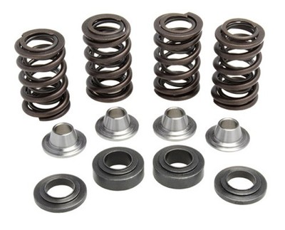 Kibblewhite Precision 80-80750 replacement valve Spring Kit