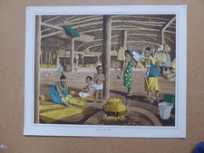Vintage 1950s UK Macmillan History Geography Print INSIDE A ZULU HOME.Africa