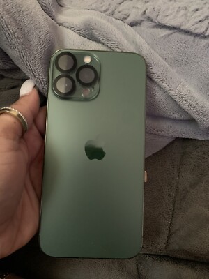 iPhone 13 Pro Max Unlocked With TikTok App 