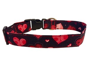 spiffy dog collars amazon