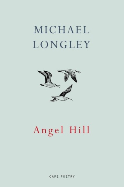 Angel Hill by Michael Longley (Paperback Book)