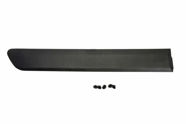 Right Rear BLIC 5703-04-2042574PP Trim/Protection Strip, wing for FIAT