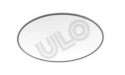 MINI Right Mirror Glass MAGNA 51167058060
