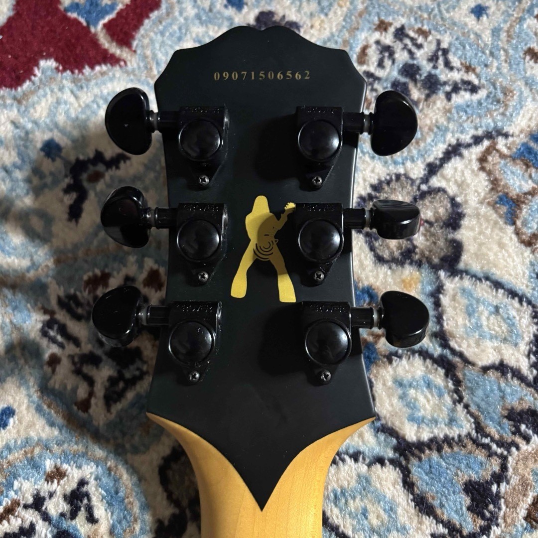 Epiphone Zv Zakk Wylde Custom Black HC付 Discontinued Epiphone Zakk Wylde Zv Custom | eBay