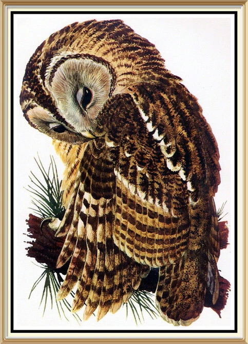 Juego de 10 impresiones artísticas litográficas de naturaleza de aves originales de 1947 de Charles Tunnicliffe Foto 4 de 4