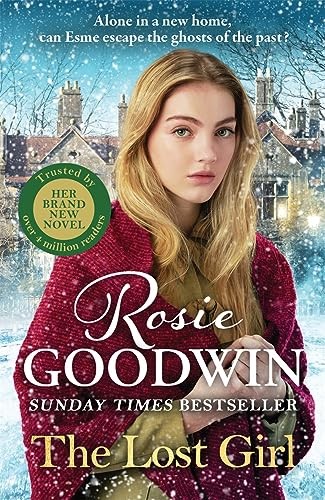 The Lost Girl: The heartbreaking new novel from Sunday Times bes